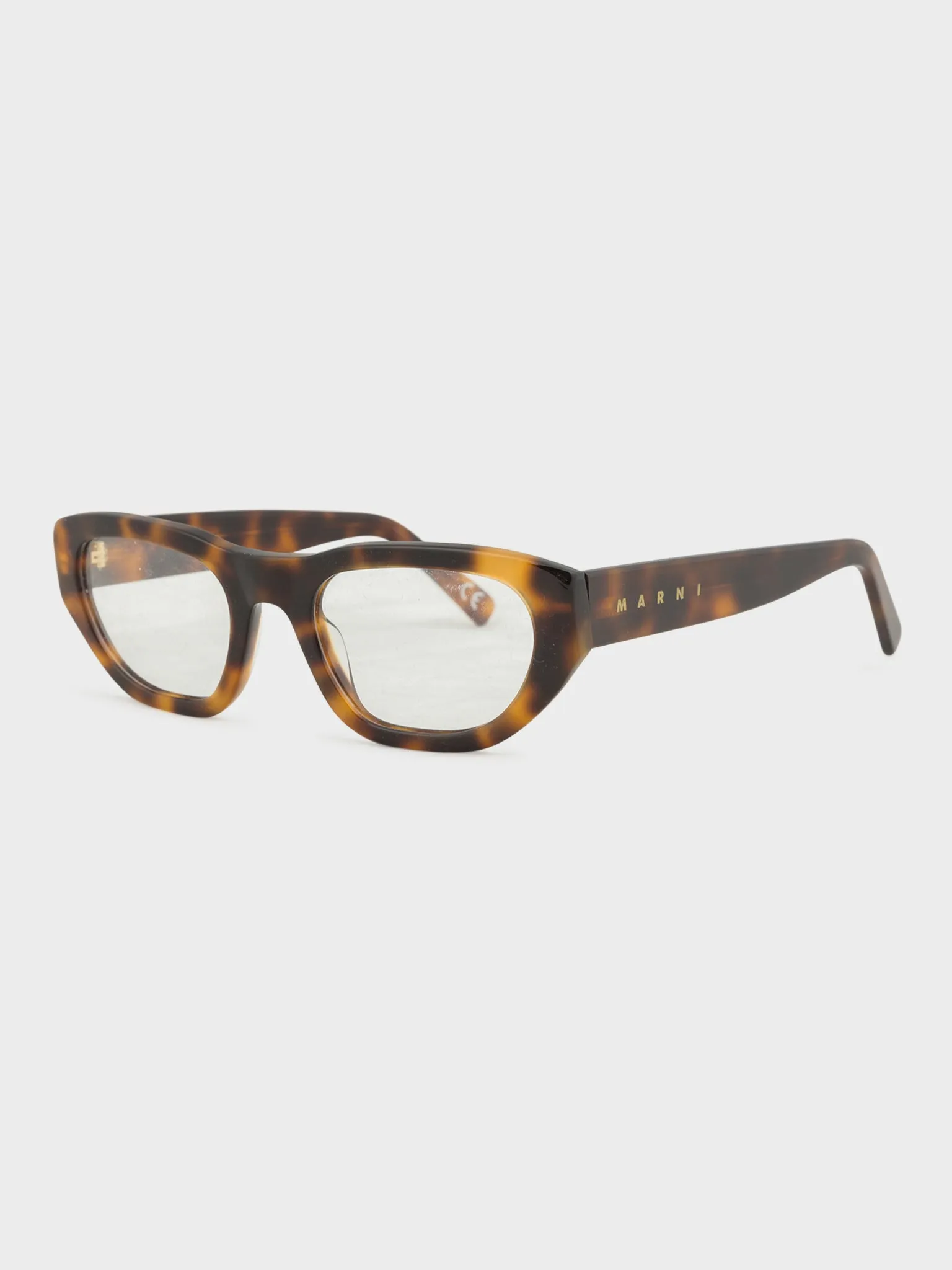 Tortoiseshell Glasses